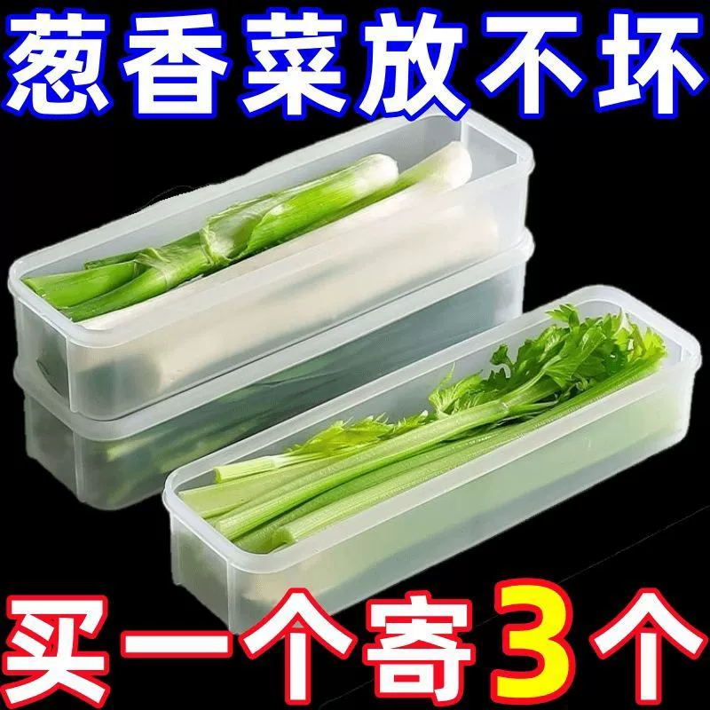 Herb & Noodle Storage Box, Multi-Size Fresh-Keeping Container, 25.5×7.5×5 cm (Chive Box)