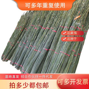 Decorative Rack with Poles, Sticks, Vegetable Growing Bamboo Climbing Poles, Clothes Rods, Thick and Thin Racks, Cucumber Direct Sales Rack