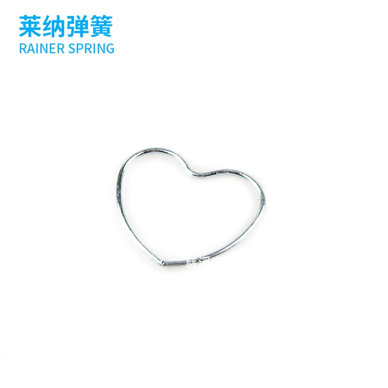 Завод питания точности нержавеющей стали специальной формы пружины качества площади карты специальной формы пружины