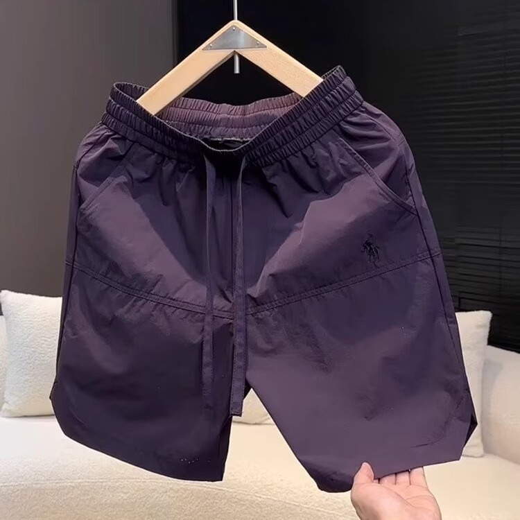 2025 新しいメンズ夏速乾性通気性カジュアルショーツポニーロゴ刺繍多用途シンプルなトレンディな 5 点パンツ|undefined