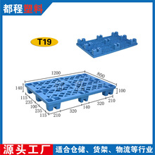 1208���_�W���p�������бP �}��|����ׯB