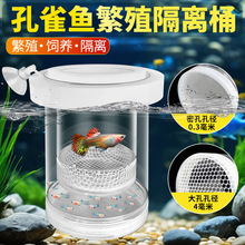 ��ȸ�~С�~��ֳ���x���~���~��ָ��W�Pβ�~��ĸ�~������