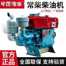 电动01中国15单缸10195ZS手动手扶拖拉机水冷柴油机小型其麦太保