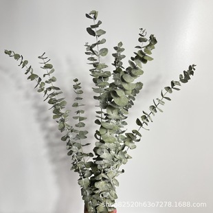 ���~�ȼ��� ���W�L�{��ؐ���~С�A�~�ȼ����~�X�����~��diy���