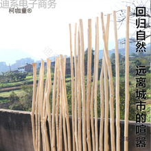 ԭľȥƤ�ɘ�֦���Uɭϵ���b��؛�ܙ����b�ľ����̺���