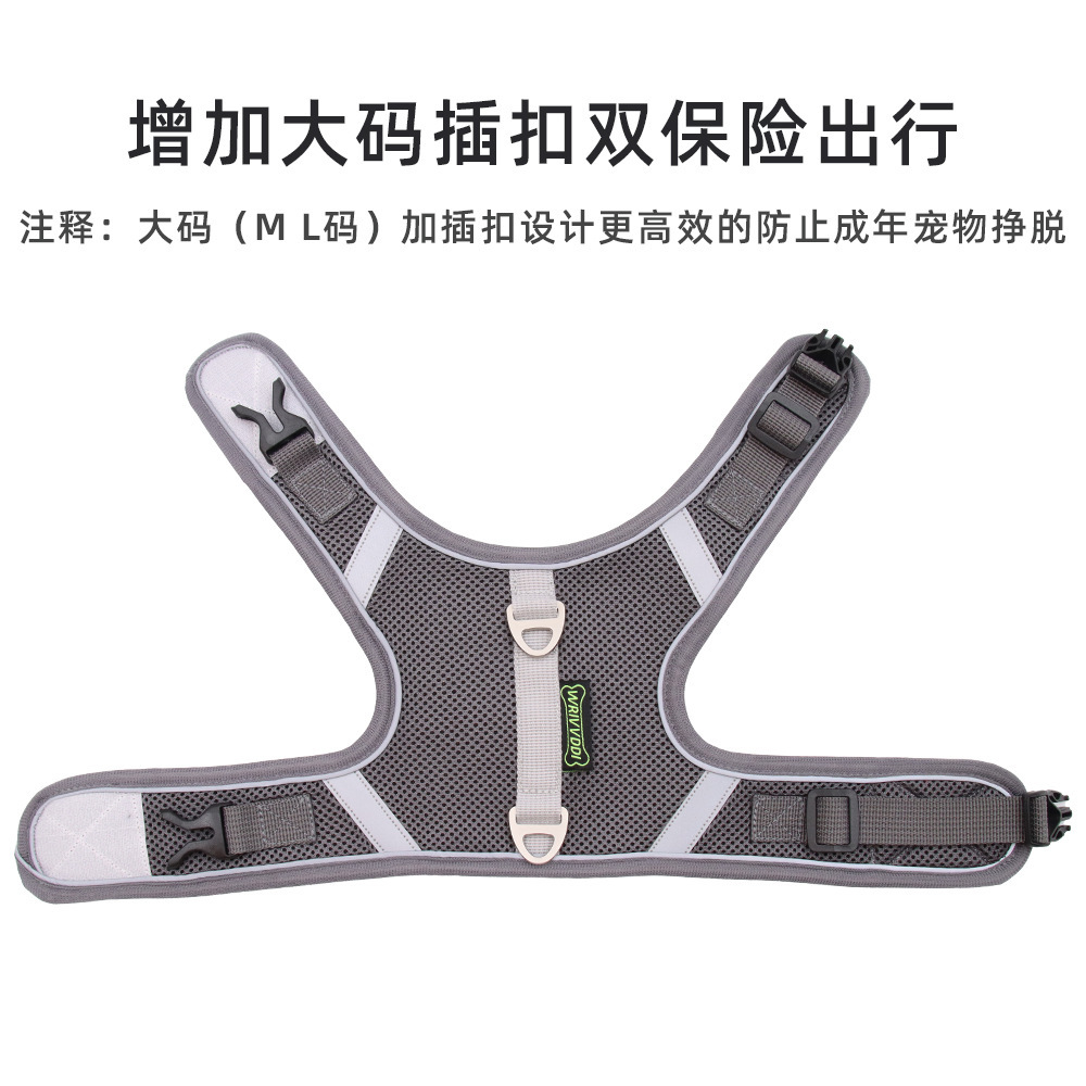 (2개) (CLEAROUT) 9.9 무료 배송 개 하네스 가죽 끈 고양이 중소형 개 하네스 개 가죽 끈 개 체인