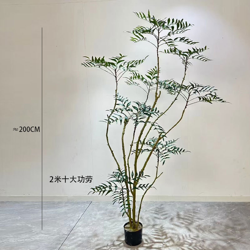 島の春の花、模擬緑の植物、クチナシの木の屋内装飾と造園のトップ10、大型の床置き植物|undefined