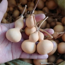 С���J���l ��Ȼ���J������J����������J �ĳǺ��JԴ�^���l