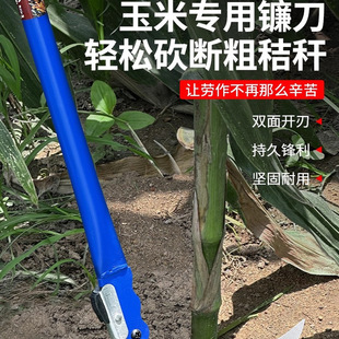 �����׌���砵������חU����砵���ݵ��r�ü��L�ۯB�����տ��ն�