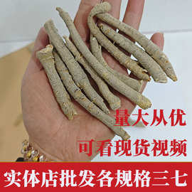 批发云南文山三七根 三七根 三七根条 三七头剪根 水洗三七粗根