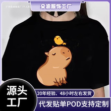 �羳����ͨ��Ȥ�Ķ���ˮ��T��Ů��֯��T��Ů������װT��Ů��