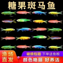 ���B�ͻ���R�~�Ꭷ�^�p�~��ȸ�~�t�G���~��ˮ���~��С�͟���С�~