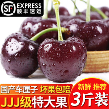 ���B�����ش���҇��a܇����JJJJ�����𮔼����rˮ��