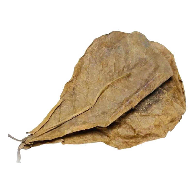 Crazy Water hierba hoja de oliva hoja de semillas de olivo Douyu hoja de pescado tanque de oliva hoja de reducción de ácido valor pH hoja de semilla de loto