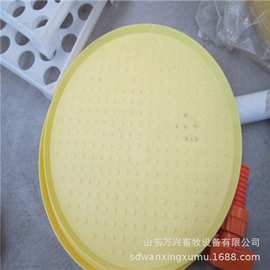 雏鸡开食盘厂家供应育雏鸡鸭鹅用圆形开食盘多种颜色图片