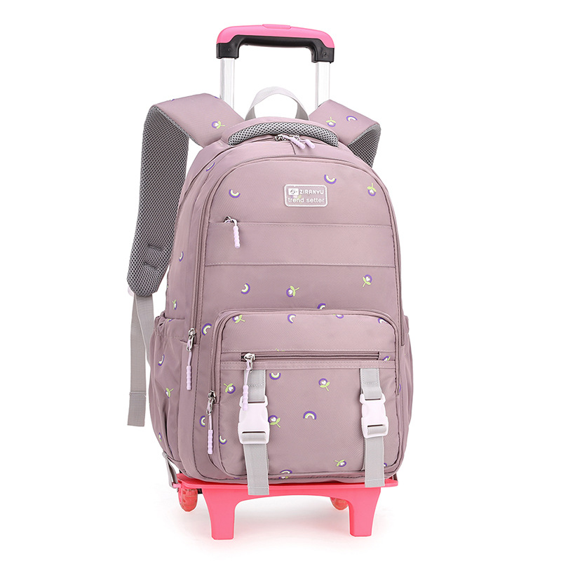 Venta caliente transfronteriza Carro de pescado natural mochila de las mujeres de seis ruedas de gran rueda de escalera de una sola pieza de entrega imprimible LOGO