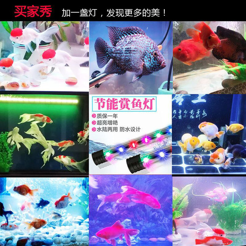 Aquarium LED light, fish tank lighting, submersible light, aquatic plant light, waterproof dragon fish tube, tricolor, seven-color, enhanced color