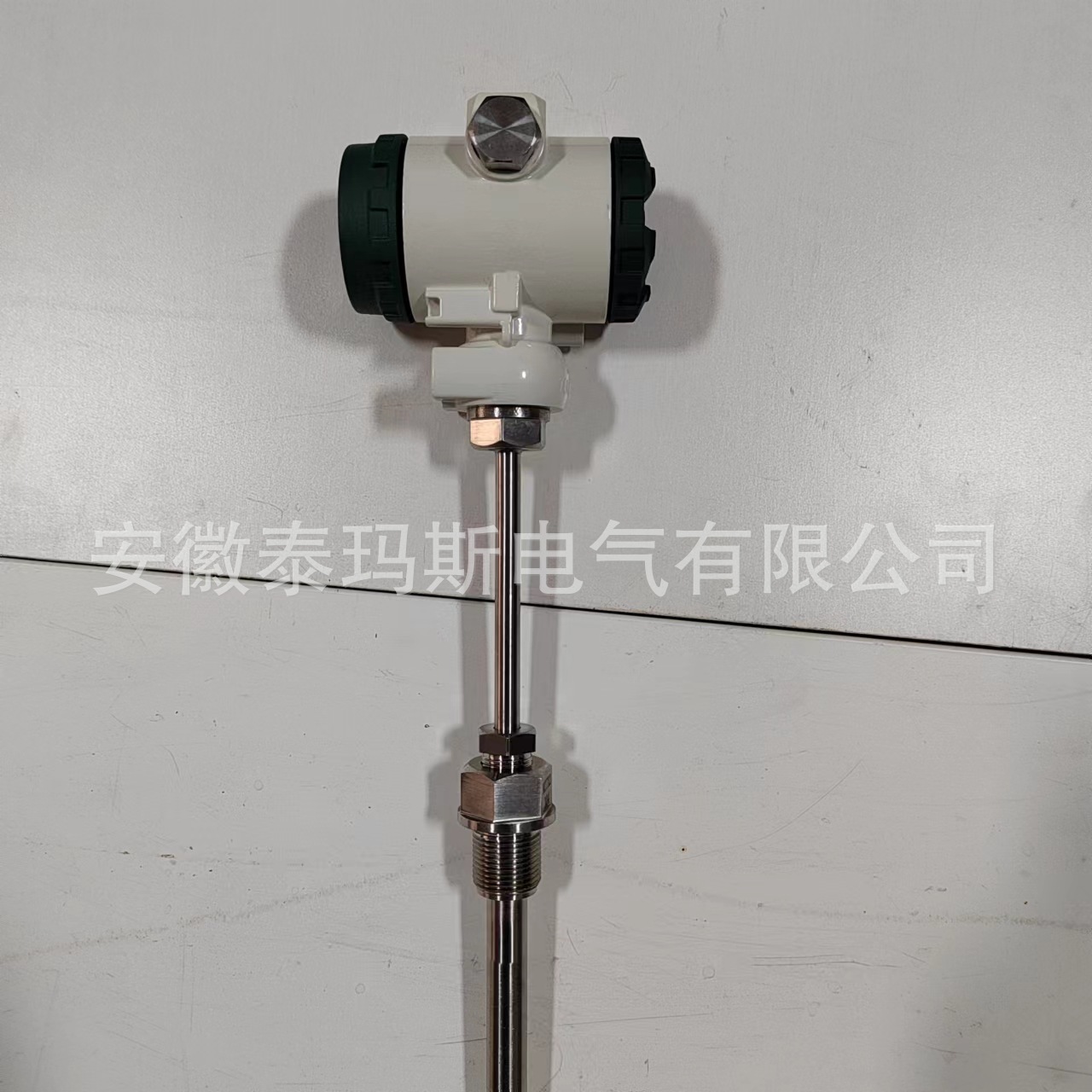 SK-SBW 一体化温度变送器 现场显示 TMS808 泰玛斯