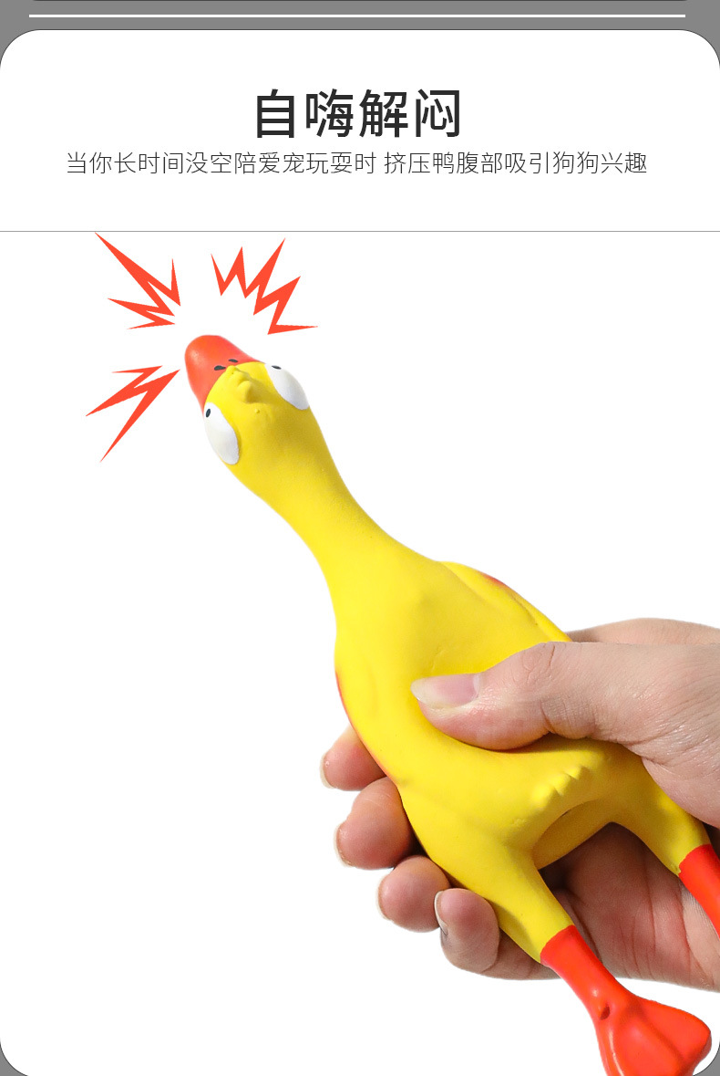 杂货功能性套版_04