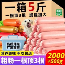 狗狗零食火腿肠狗零食香肠训练幼犬50g克大根宠物火腿肠整箱批发