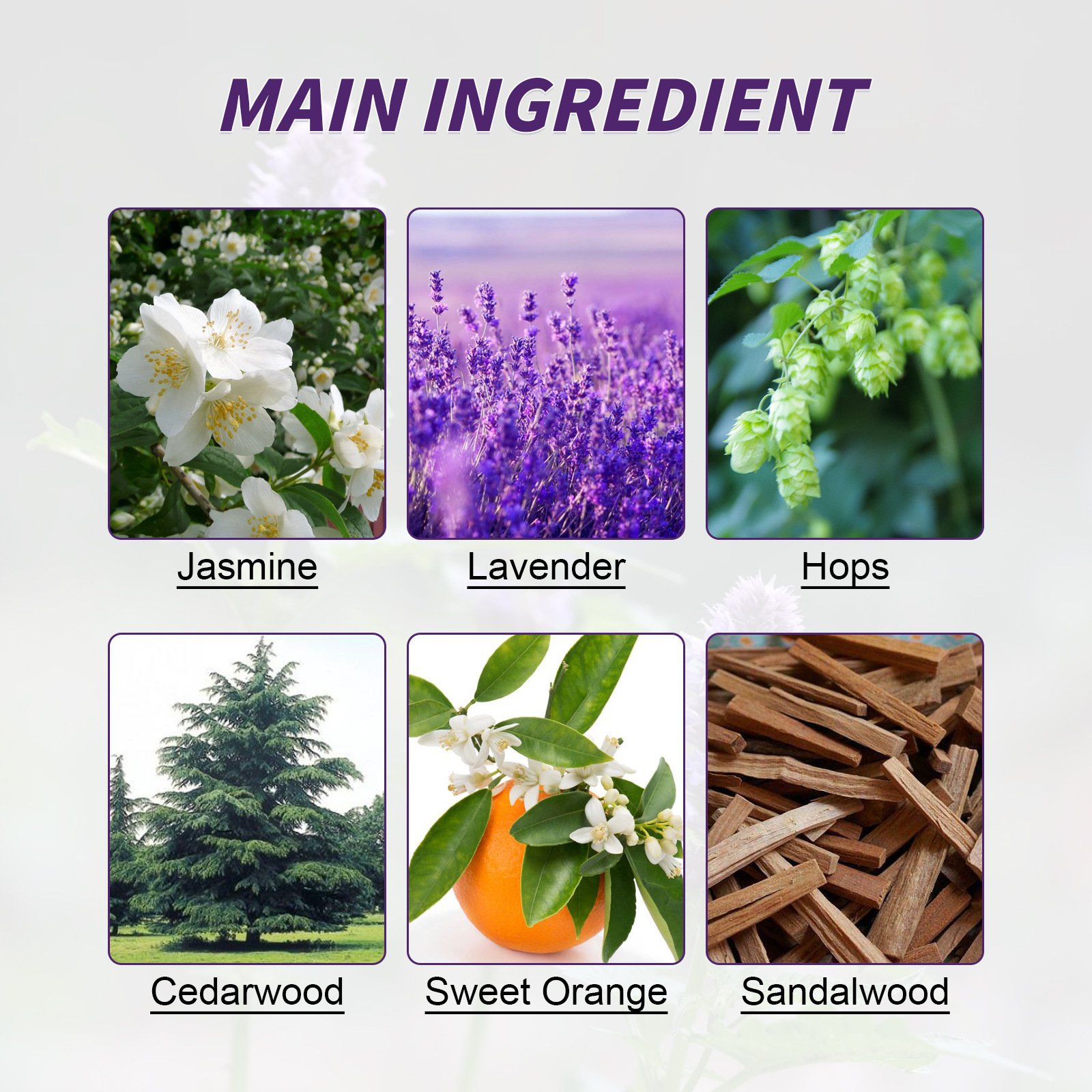 Patchs sommeil aux herbes pour la relaxation et le stress_voghion.com