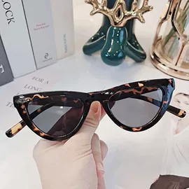 太阳镜;框架眼镜;眼镜盒/包