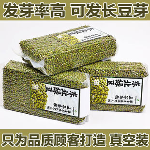 2025�|���¾G���l��ѿ��Ռ��ô��w�����G�����ɳ�r���ԷN���|LD