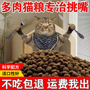 ���¿����p��؈�Z����I�Bͨ�������l��؈��؈�Zʳ���͵��}����؈
