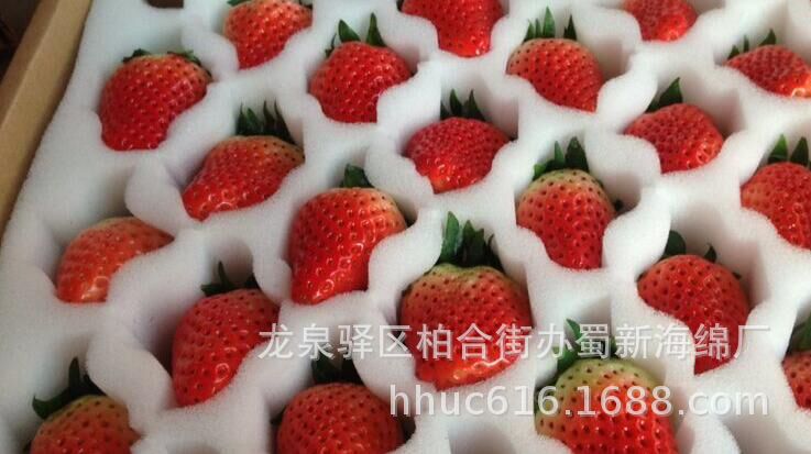 厂家供应草莓减震海绵/草莓拉伸海绵/草莓内托海绵