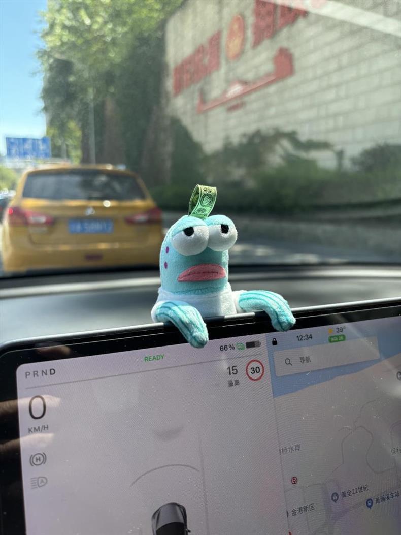 Car Center Console Screen Ornaments Bicchibao Residents Cool Fish Stylish Creative High-End Rearview Mirror Pendant