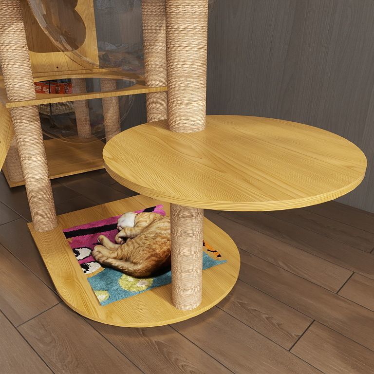 b85f702b-71d5-4fa1-bd48-dfcf4738cab6.jpe