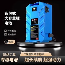 背包式锂电池大容量21V24V36V48V背负绿篱机割草园林电动工具水泵
