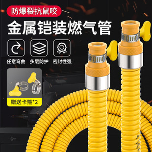 Commercial Gas Pipe, Gas Hose, Natural Gas Pipeline, Liquefied Gas Explosion-Proof Medium-Pressure Gas Stove, Gas Tank Connection