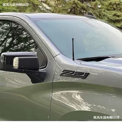 Label, Body Label, Car logo