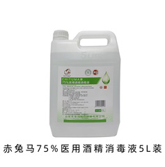 75% アルコール5lバケツ入り75度医療用エタノール消毒液家庭用無洗速乾アルコール消毒液スポット