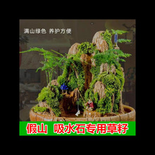 ļɽݷN 辰ݷN ˮʯòˮʯֲ׻