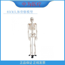 �О��t�� �S��ֱ������ȫ�������̌Wģ�� ��85���w����ģ��