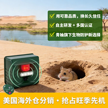 �羳���������t�⾀��s���҃����������B��������b�������l