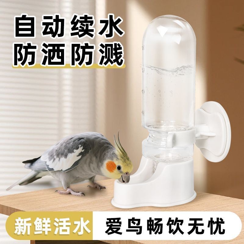 New parrot automatic waterer bird supplies kettle feeder bird and kettle bird waterer bird cage 3