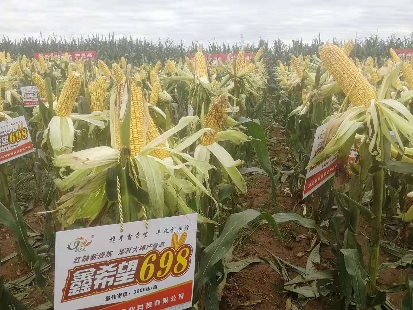 微信图片_20210402103338