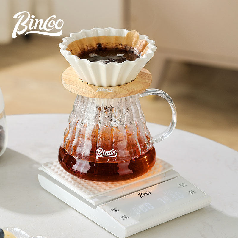 Conjunto de cafetera de café Bincoo, conjunto completo de cafetera de café, filtro para compartir, molino de café, mano doméstica
