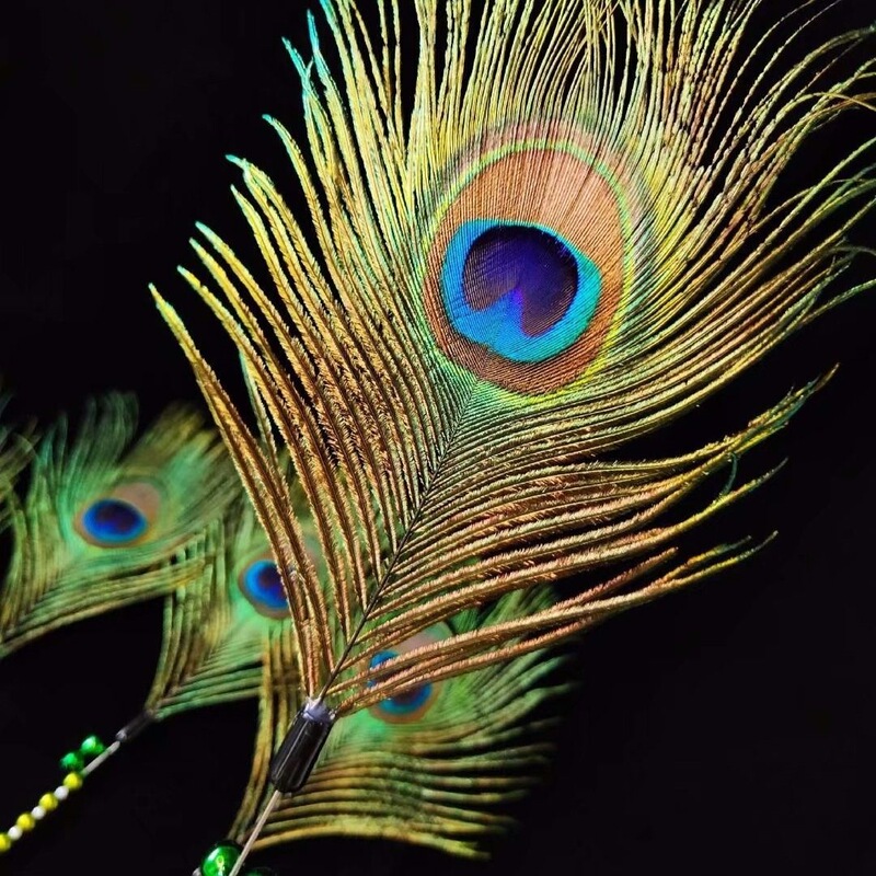 Peacock feather cat teaser stick with natural color bell and steel wire, cat and dog toy, a magical tool for taking photos of kittens, made of natural peacock feathers Peacock feather cat teaser stick with natural color bell and steel wire, cat and dog toy, a magical tool for taking photos of kittens, made of natural peacock feathers