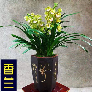 ���m�ļ��m�ݻ����m������㽨�m��z�Rβ�҃����F�Gֲ�������^��