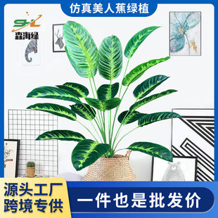 羳Gֲ18^˽ֲ Ҿ҃ȿ͏dGֲ ˽