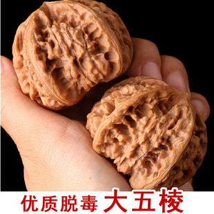 Big Five-Edge Wenwan Walnut Seedlings Lion Head Triangular Unicorn Pattern Walnut Tree Walnut Tree Fruit Potted Ground Planting in the Same Year