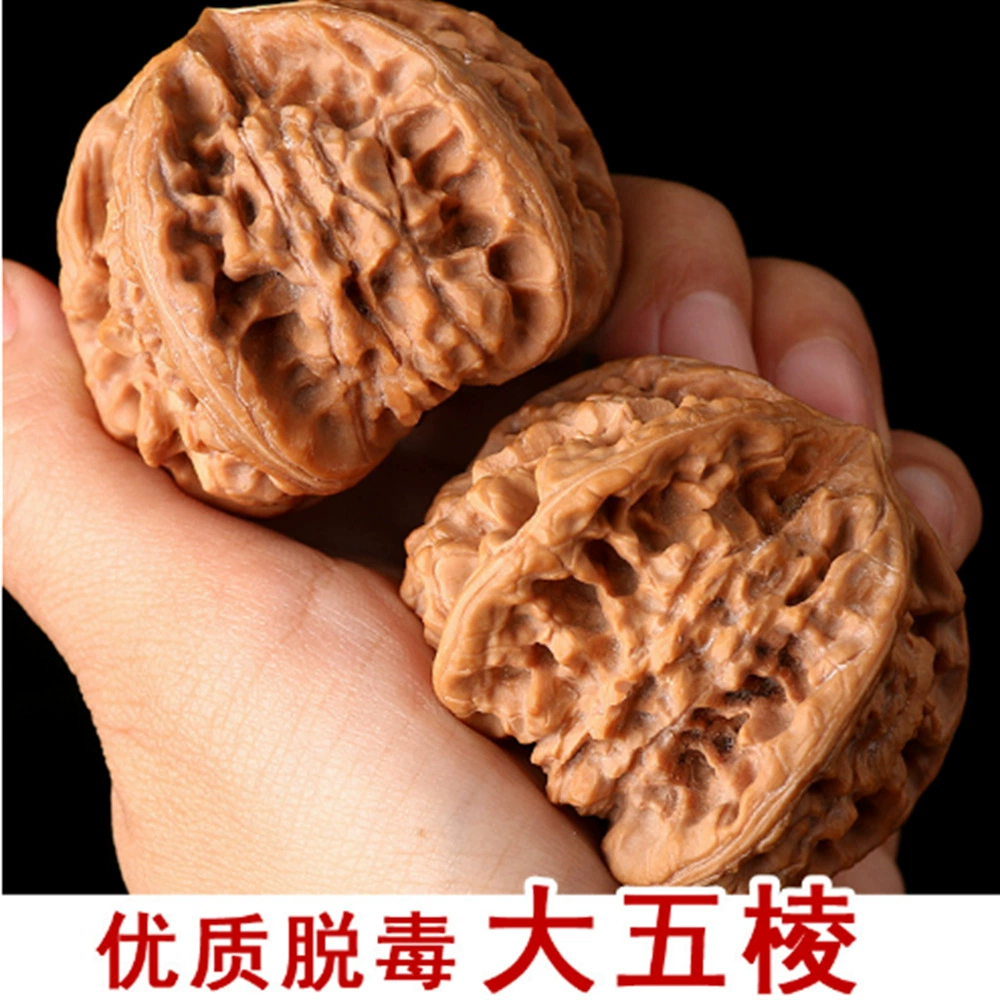 Большой пятигранный саженец ореха с головой льва и трезубым единорогом, ореховое дерево, плодоношение в том же году, подходит для посадки в горшках или на грунте.