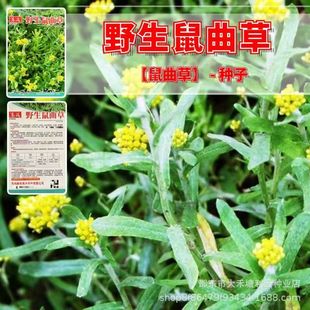 Ұ�������ݷN��һ�����ݱ�����������S���������˷�����ﰬ�޲�