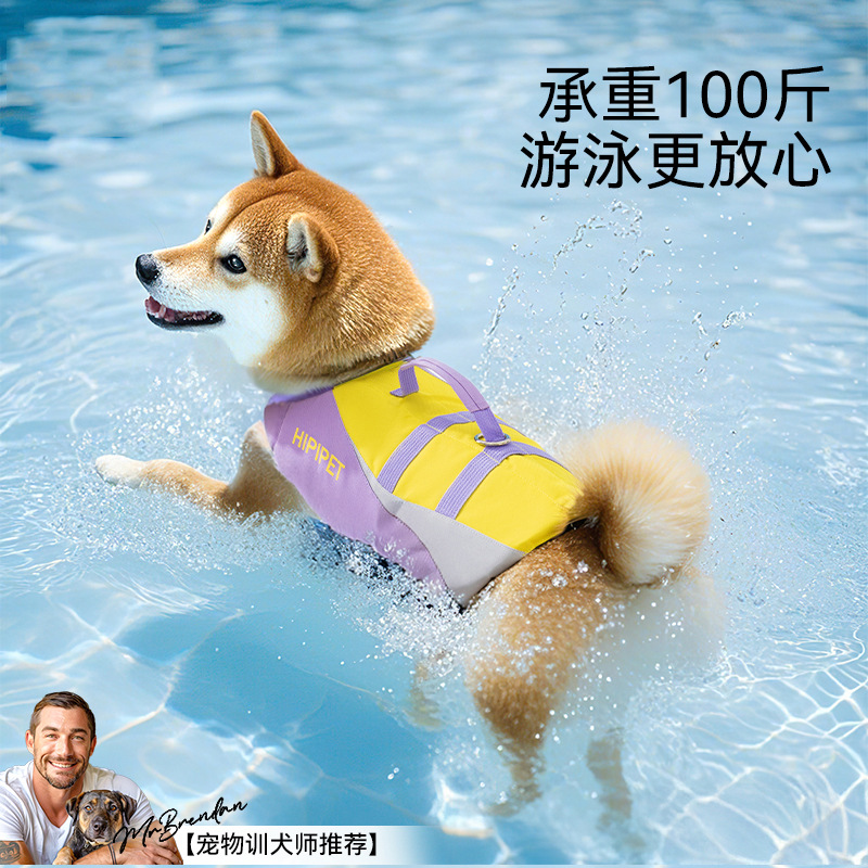 Perros de verano Perros pequeños y medianos Teddy Chaleco salvavidas con costuras en contraste Pet Traje de baño de flotabilidad grande Ropa especial para natación