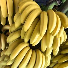 高山香甜大香蕉新鲜当季水果包邮香焦整箱应季批发5/0斤大蕉特产