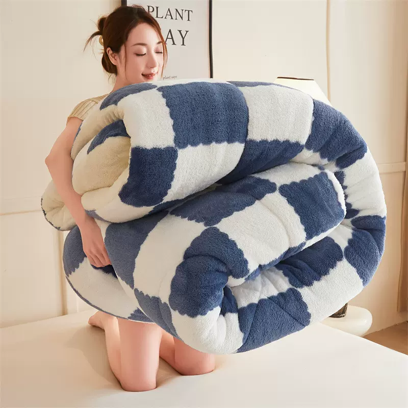 新款北极绒双面冬被保暖加厚被芯学生宿舍被子羊羔绒被褥棉被批发